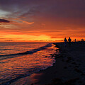 A Walk into the Warm Sunset, Sanibel Island